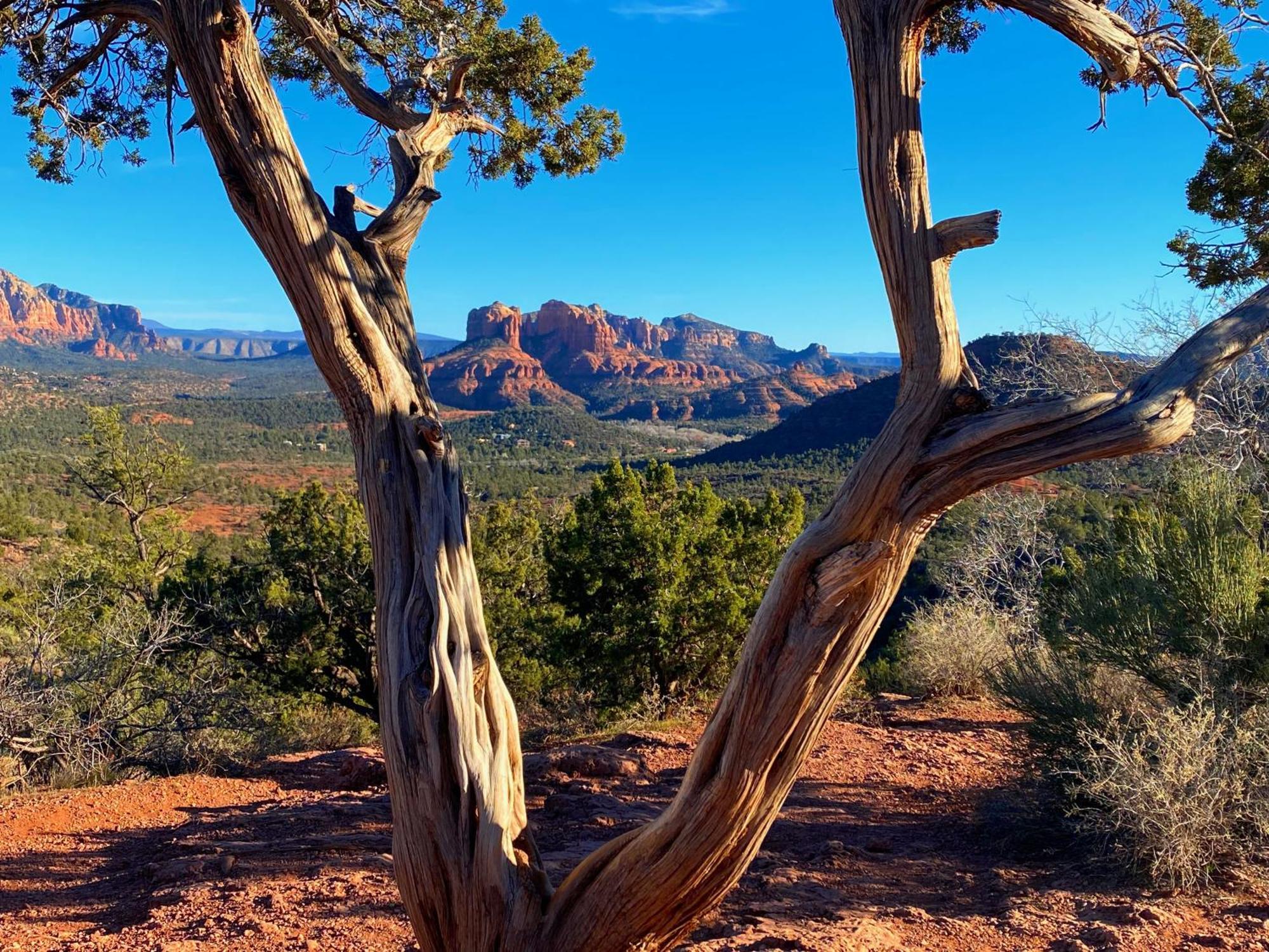 Sedona'S Paradise Found, Saltwater Pool And Hot Tub, Private Oasis! Exteriör bild